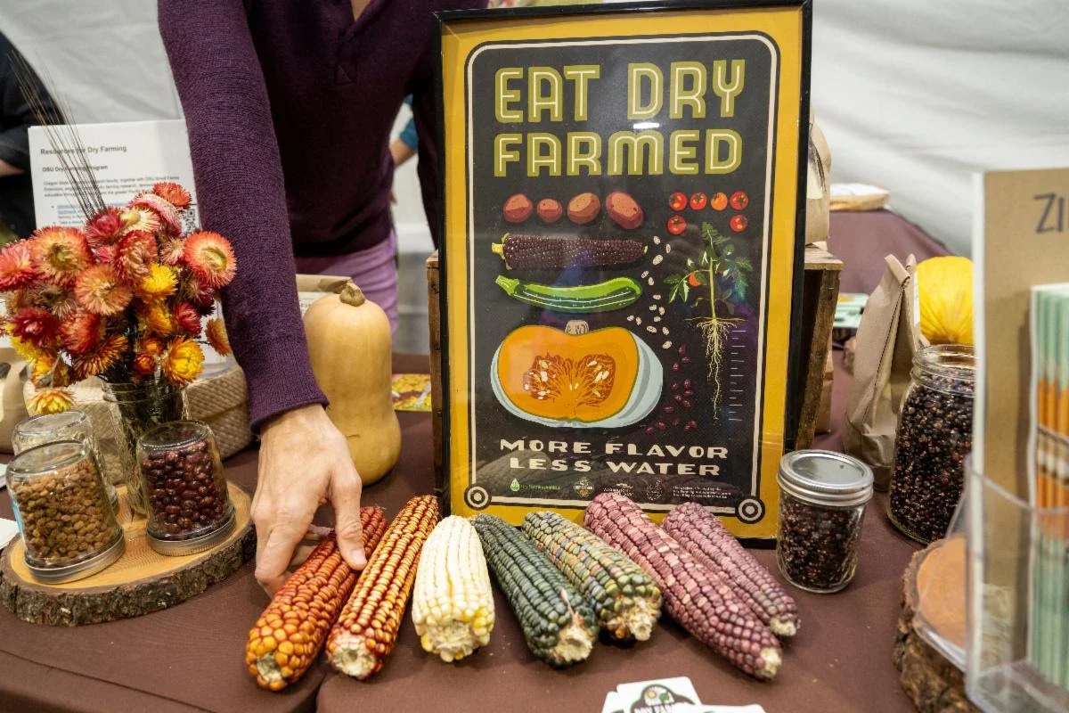 Dry farmed produce on the DFI's table.