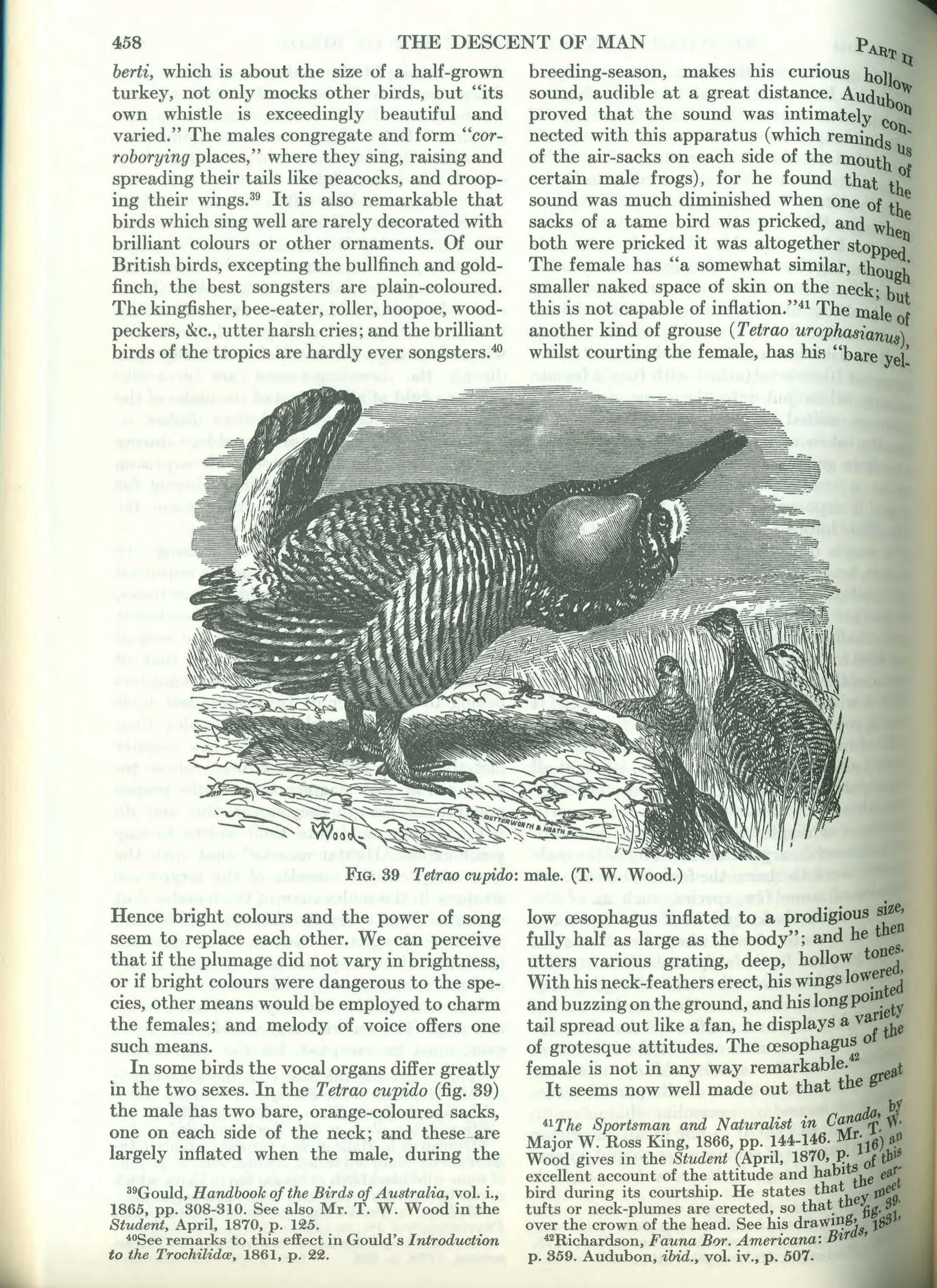 darwin2.jpg