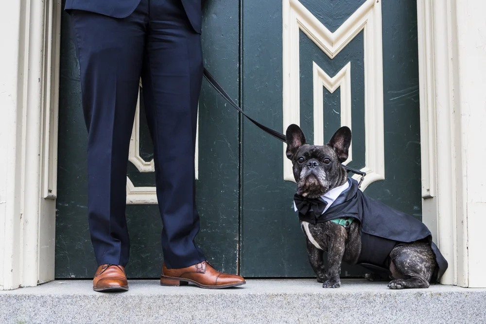 Flom Pups Web-14.jpg
