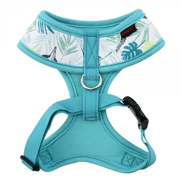 pasa-ha1604-aqua1.jpg