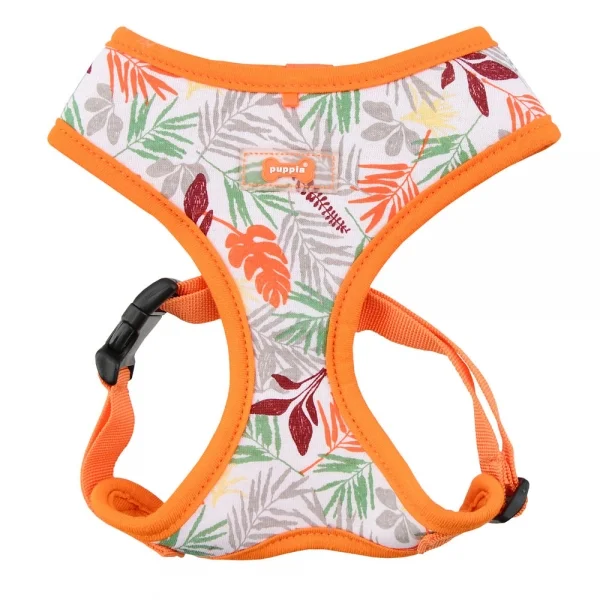 pasa-ha1604-orange3.jpg
