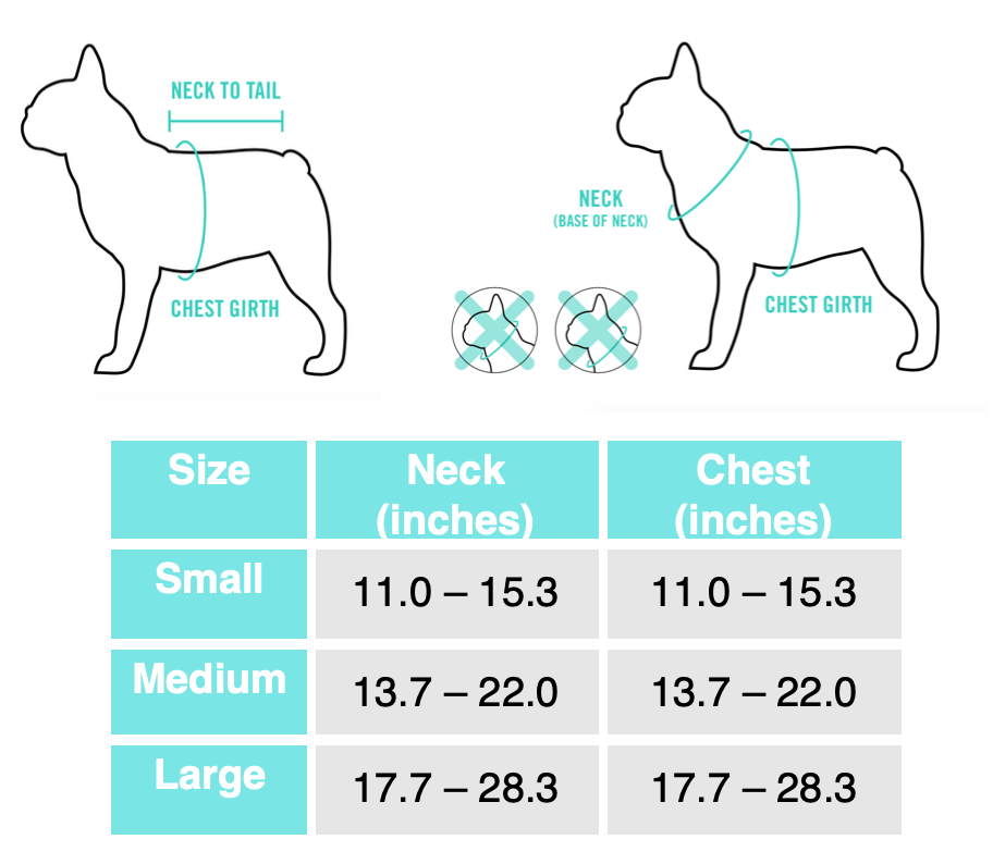 FrenchiesToothHarnessSizeChart.png