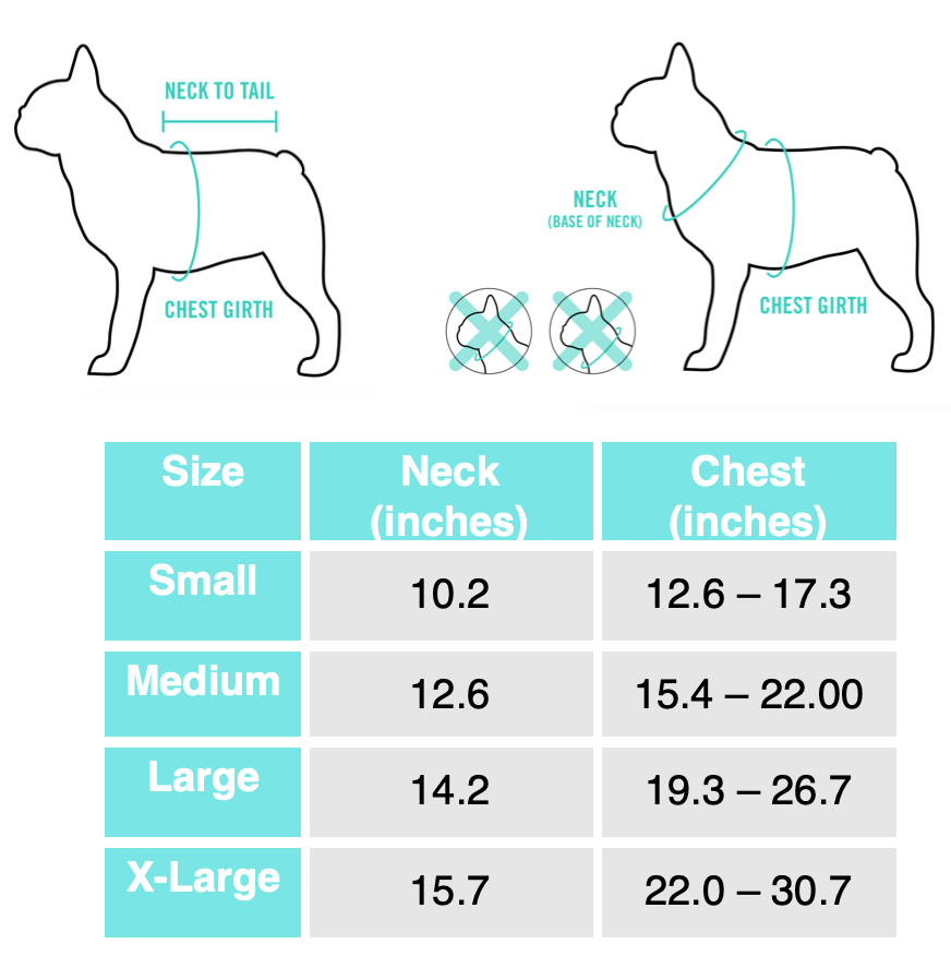 FrenchiestoothAHarnessSizeChart.png