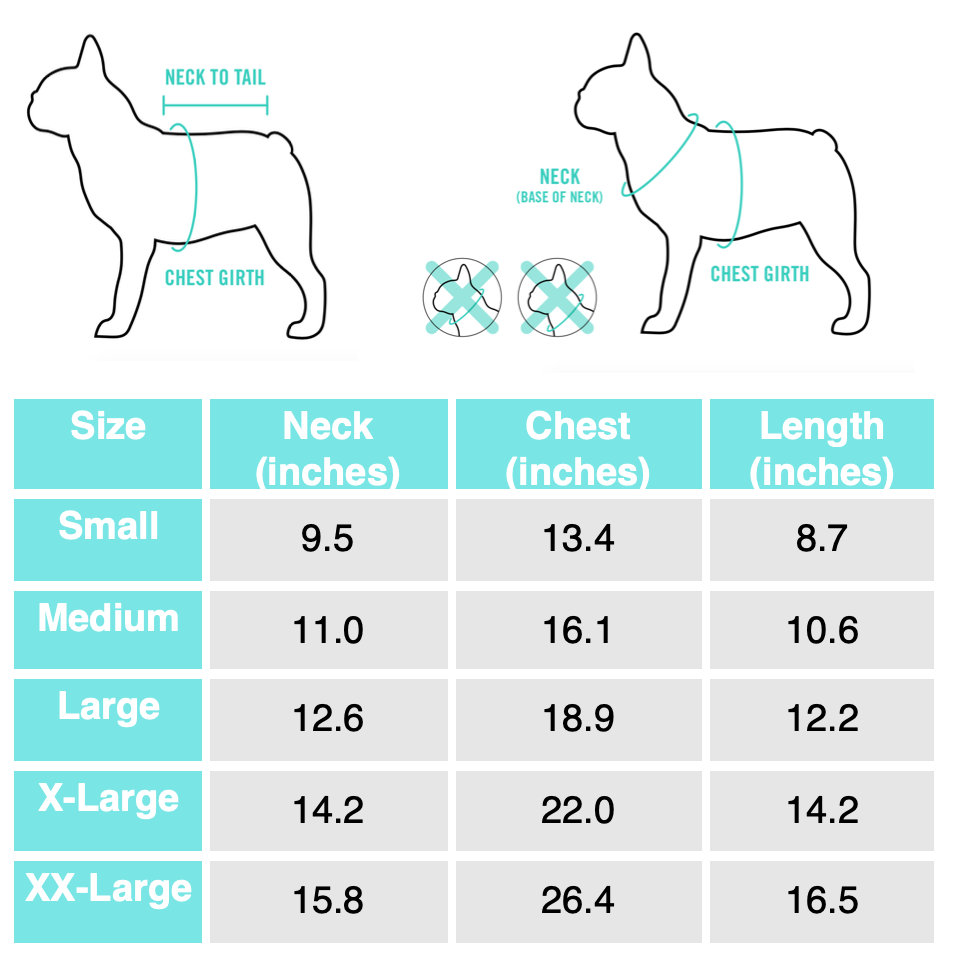 Bellamy size chart.png