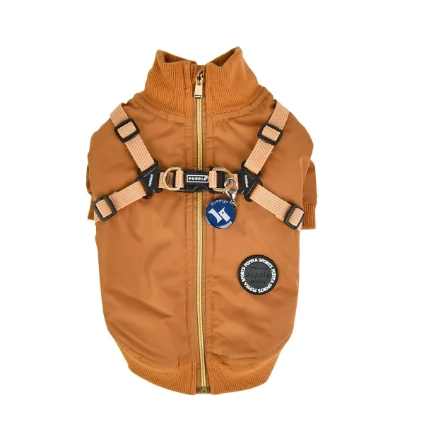 patd-jm1763-camel1.jpg
