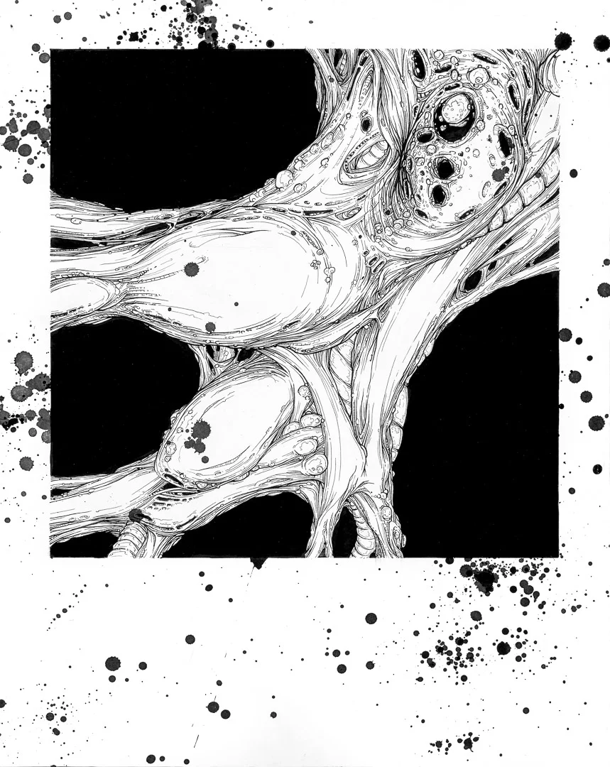 20419_01_web.jpg
