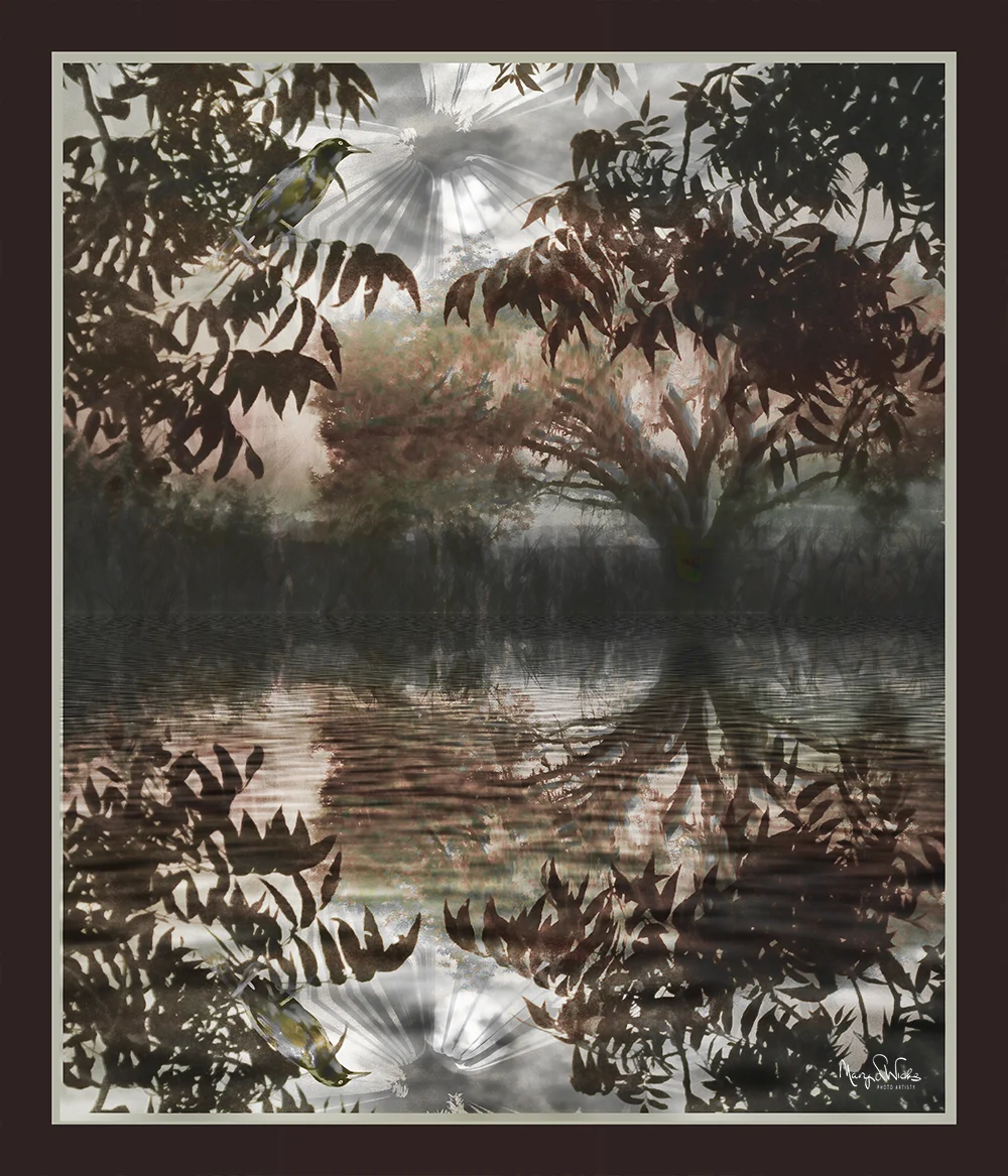 Swamp Reflection