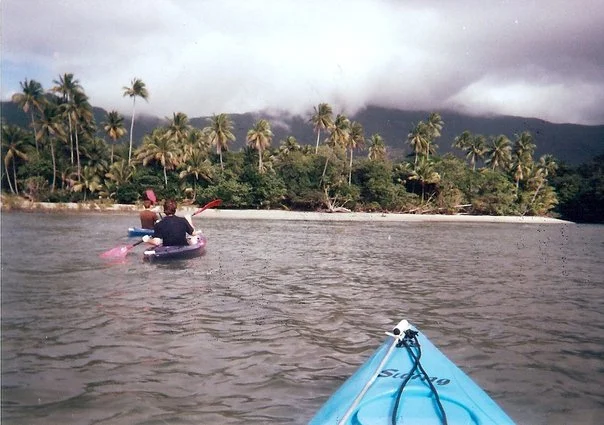 Cape Tribulation