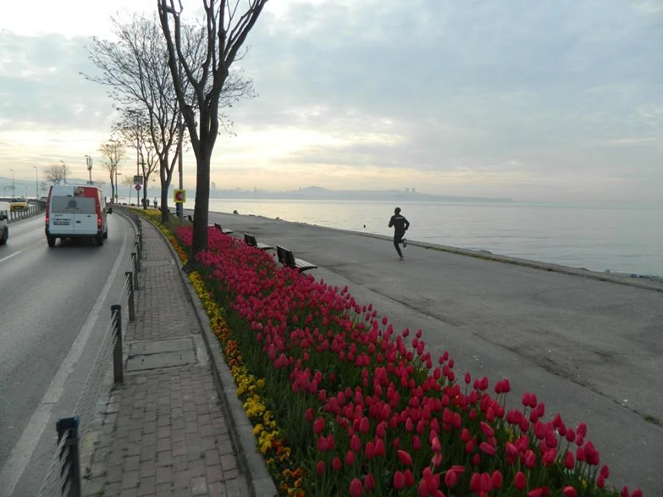 Istanbul jogger