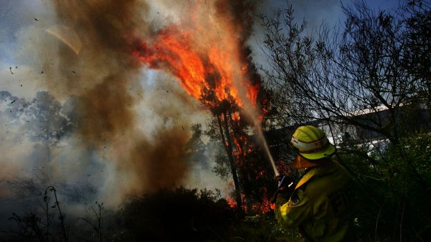 A NSW Fire Brigade member fights a fire in the Lake Macquarie area this summer. The levy for emergency services will move to council rates this year. Photo: Nick Moir
