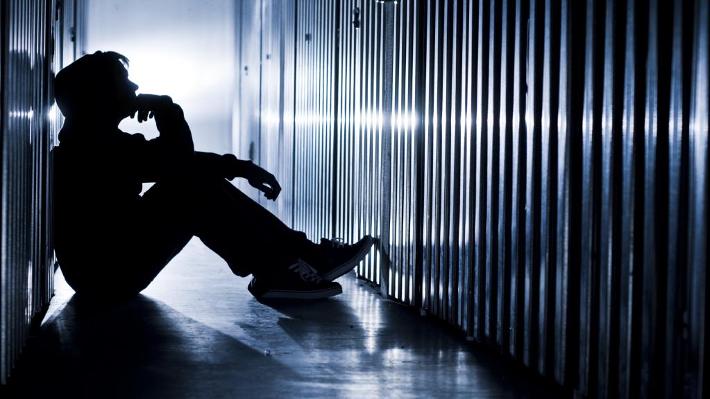 High unemployment rates in western Sydney are leading to mental health problems and are placing a strain on services.