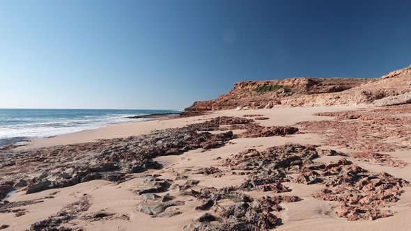 Credit: University of Western Australia