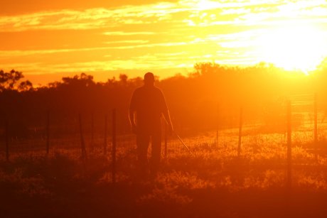 Accountants say they often work with farmers whose financial struggles are affecting their mental health. (Supplied: Zara King)
