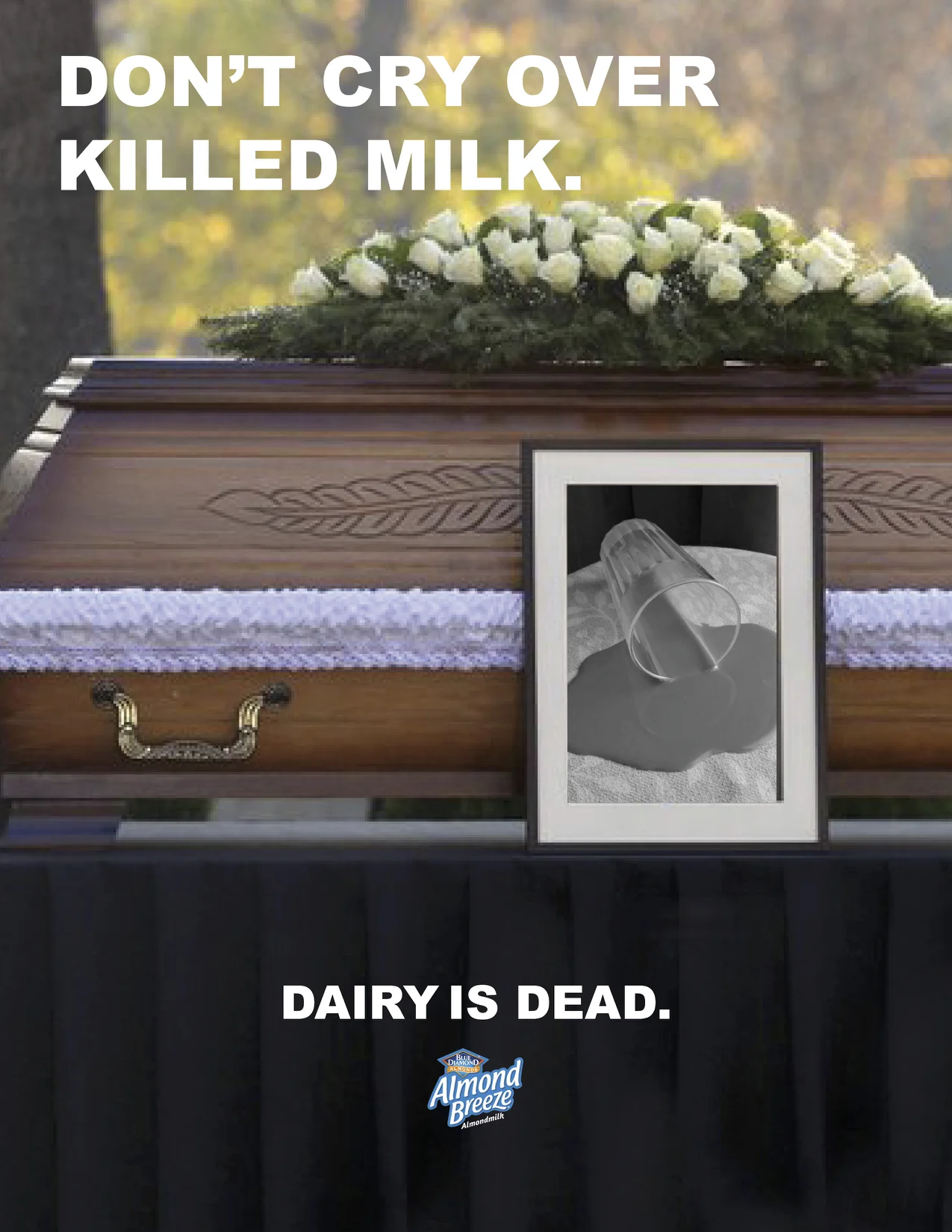 Dairy final PDF (dragged) 2.jpg