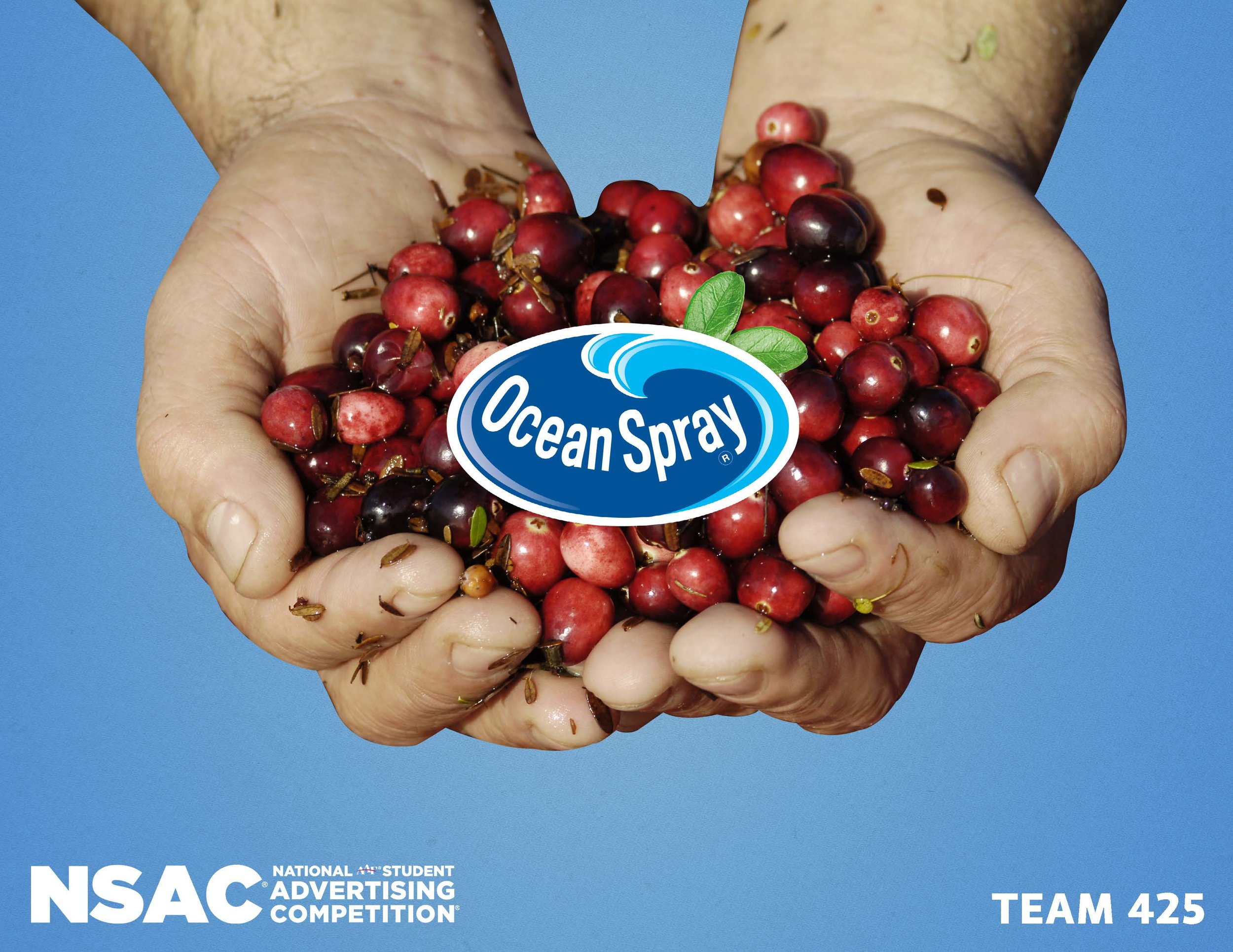 OceanSprayPlansjp_Page_01.jpg