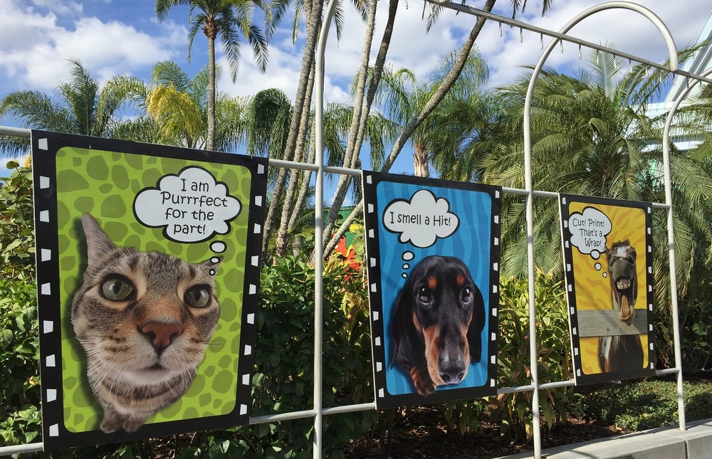 Animal Actors on Location in Universal Studios Florida — UO FAN GUIDE