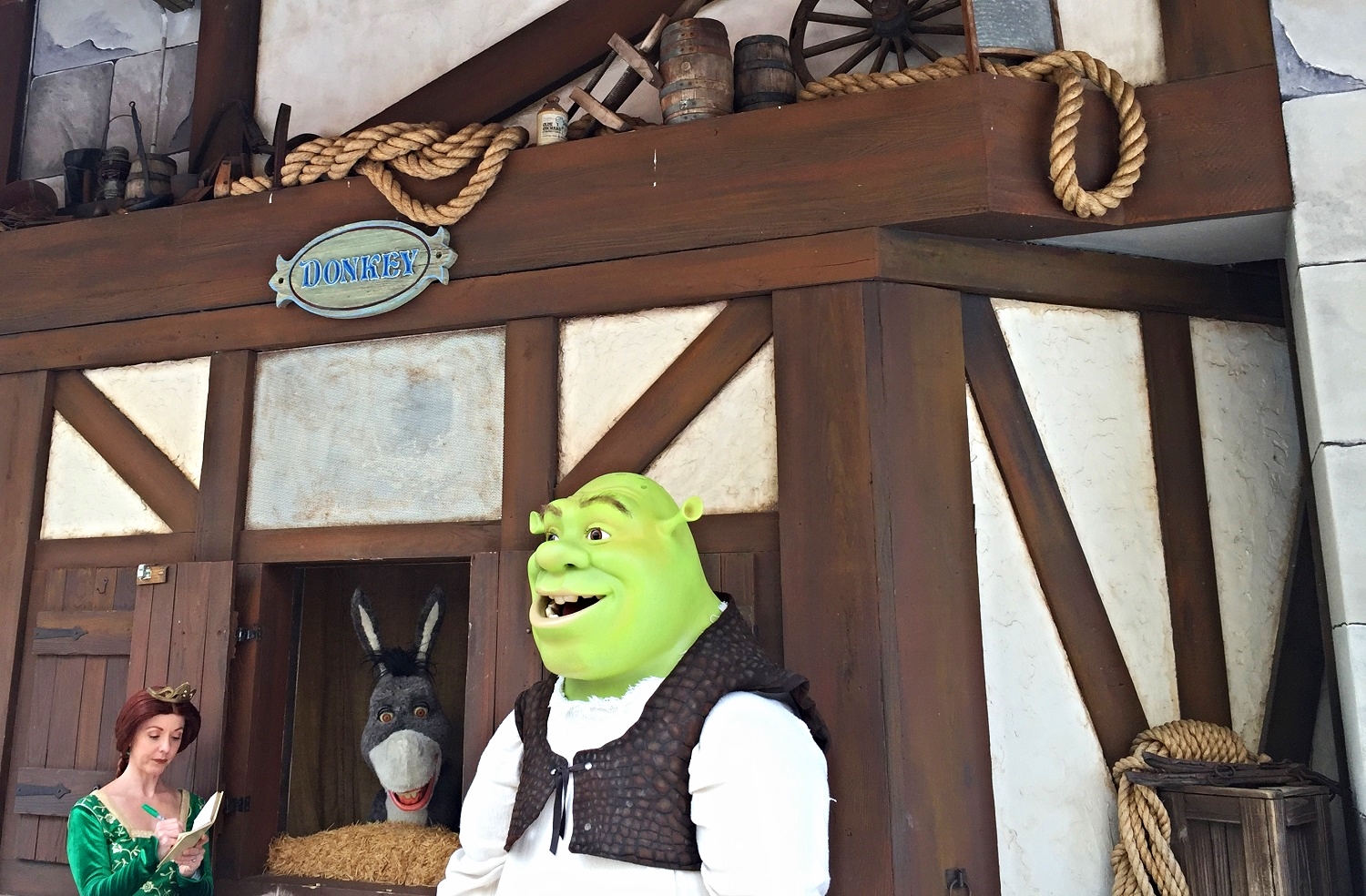shrek-donkey-fiona.jpg