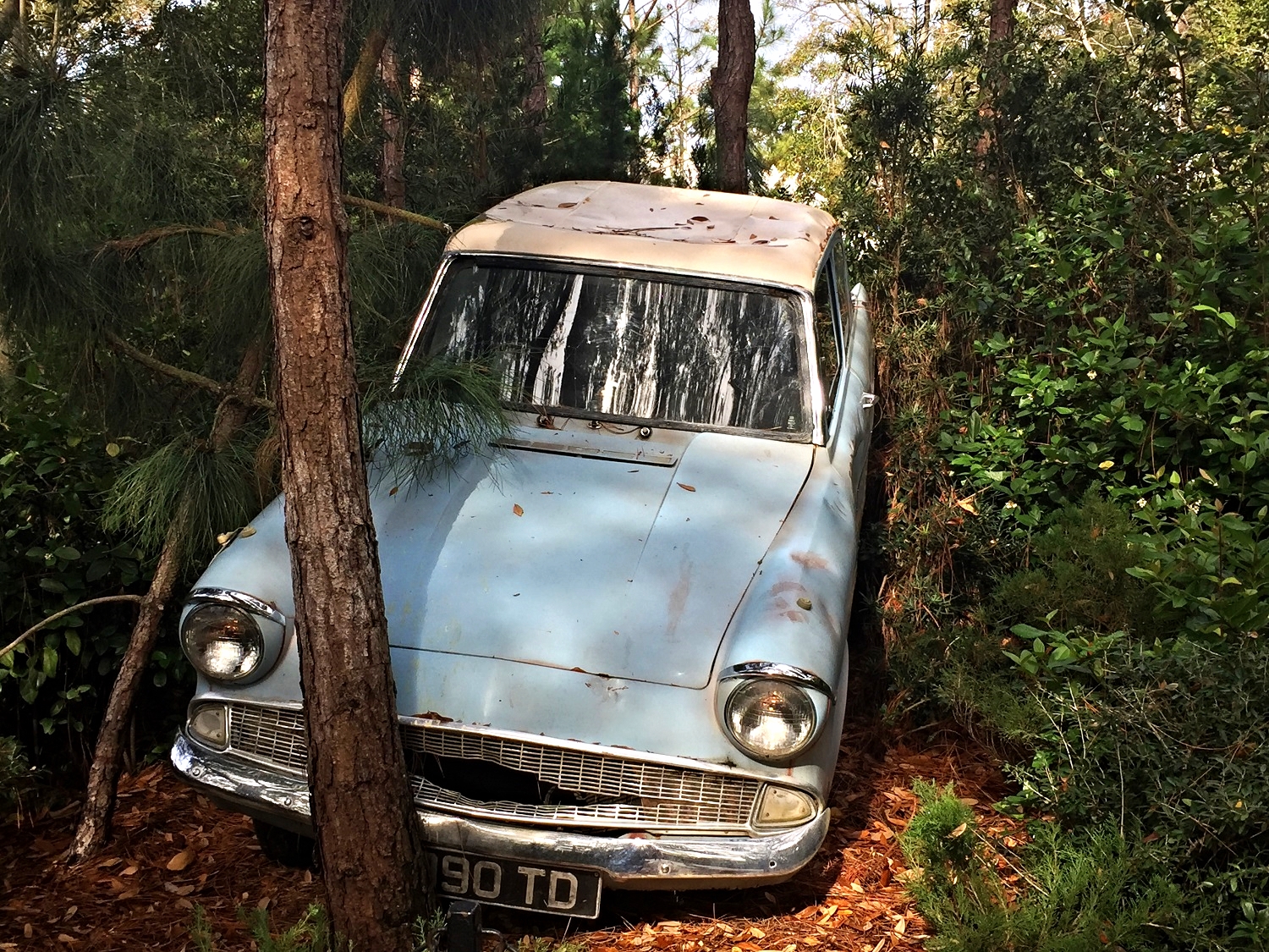 Weasley Family Car in Dragon Challenge Queue