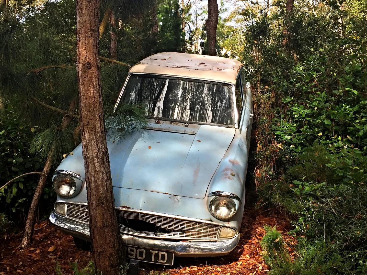 The Flying Ford Anglia in the Dragon Challenge queue in Hogsmeade.