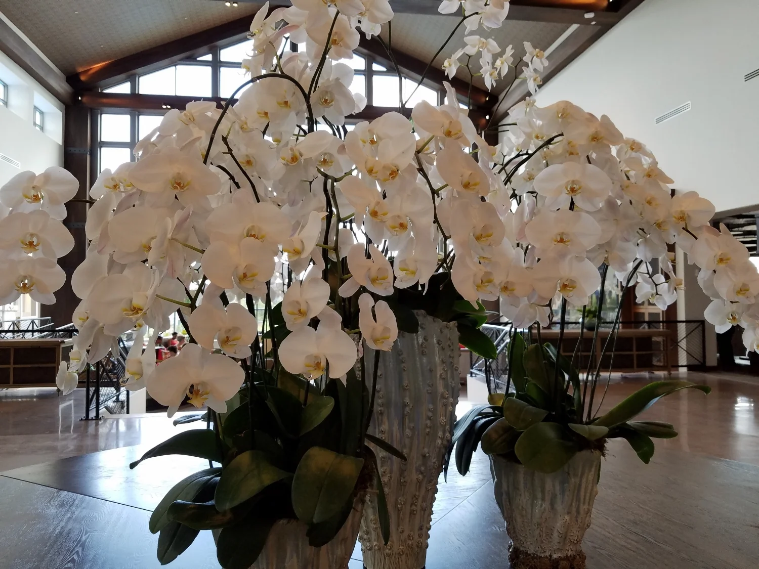 Flowers Near the Front Desk at Loews Sapphire Falls Resort