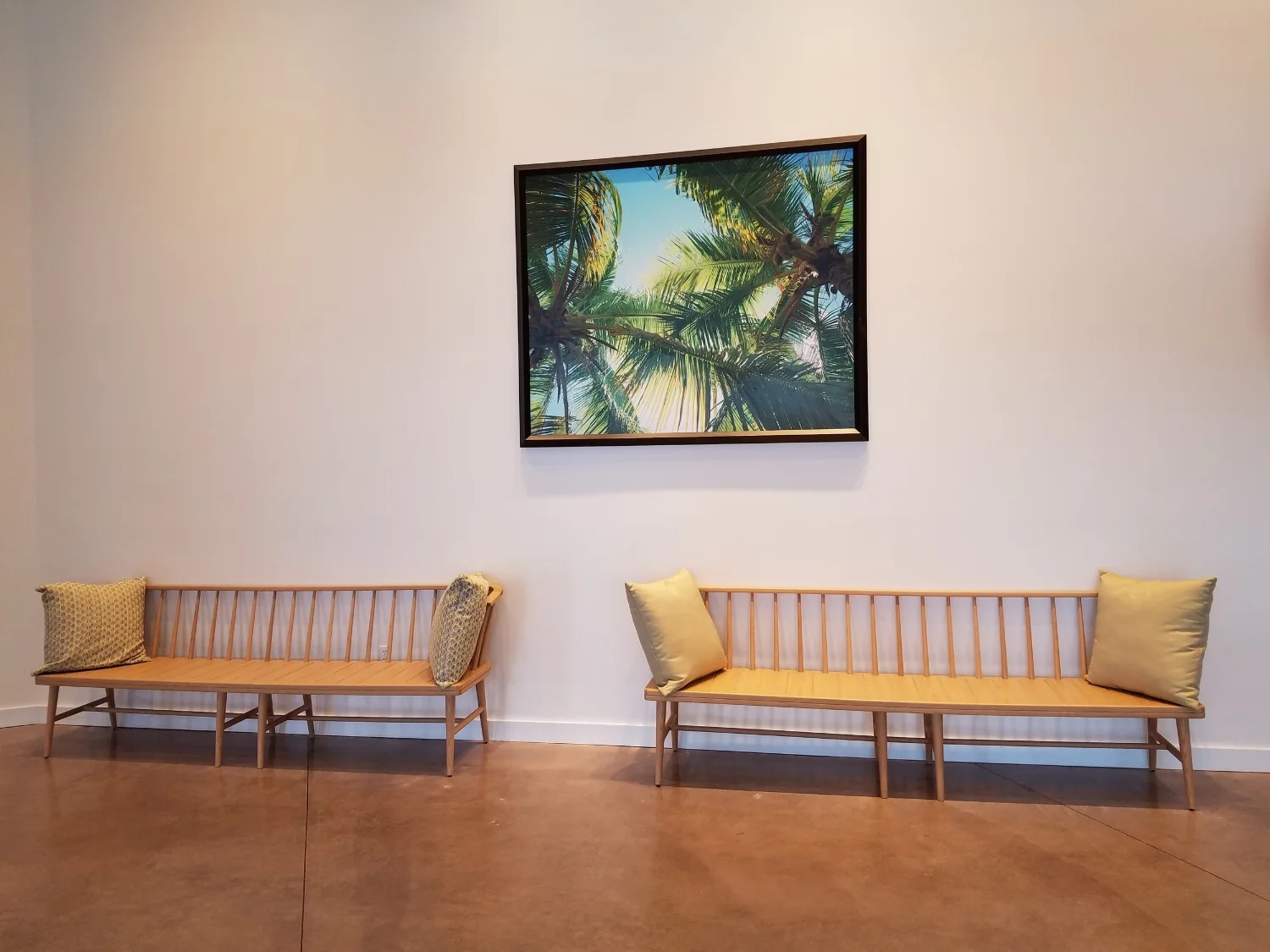 Benches to Rest on Near the Water Taxi/Resort Shuttle Exit at Loews Sapphire Falls Resort