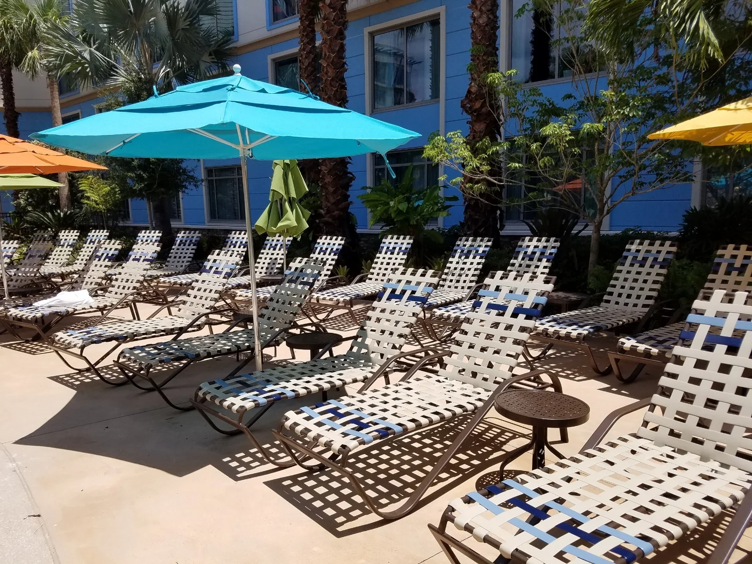 Poolside Loungers at Loews Sapphire Falls Resort
