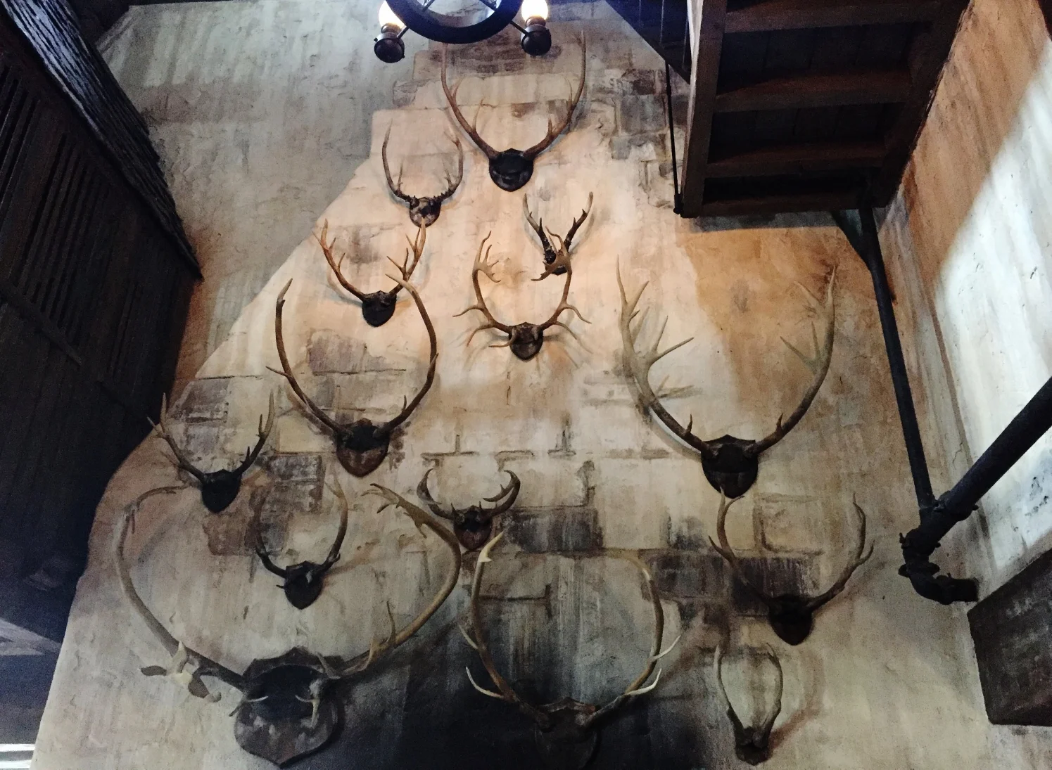 The walls at Three Broomsticks are decorated with antlers.