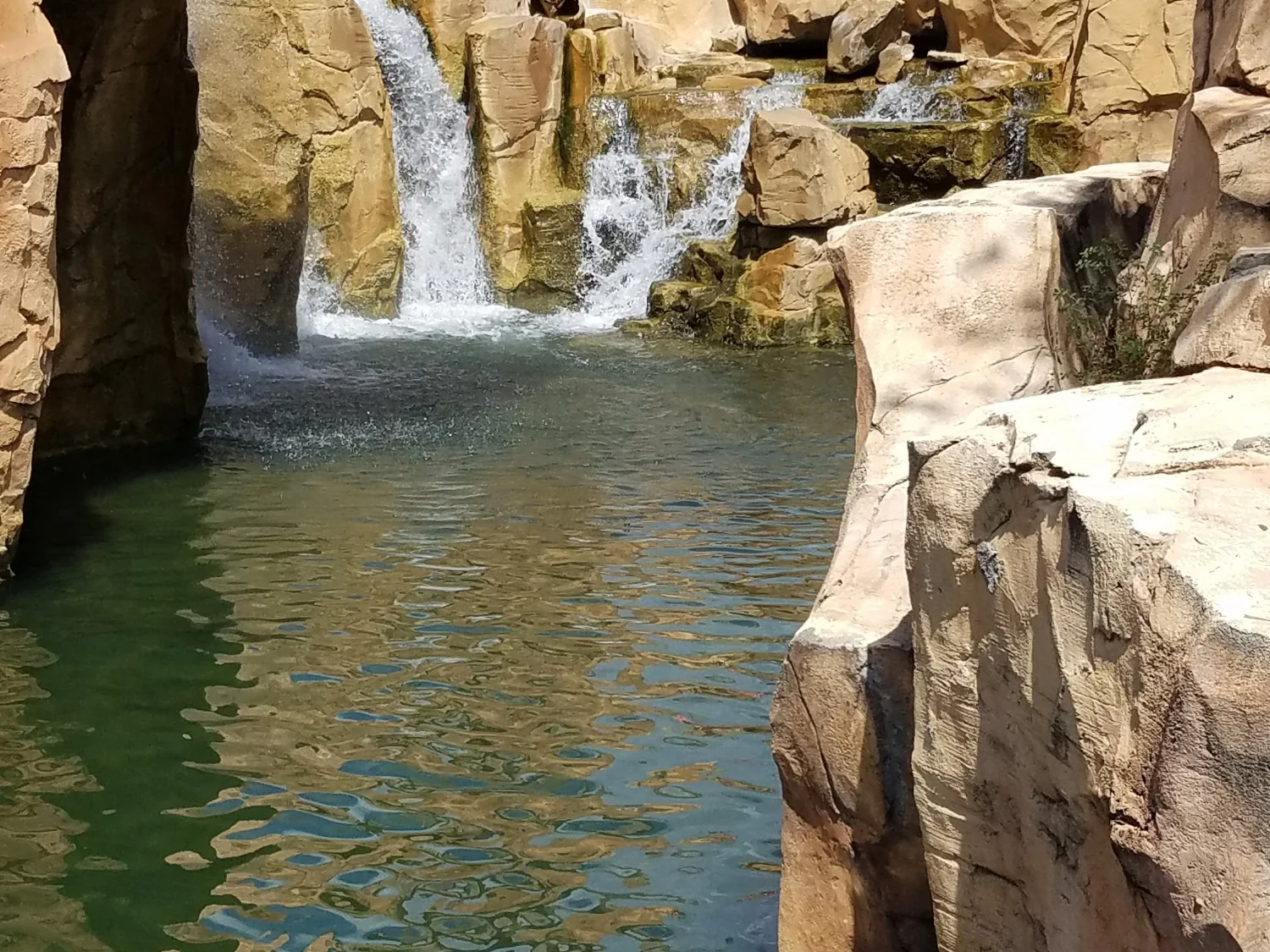 20160925_120707.jpg