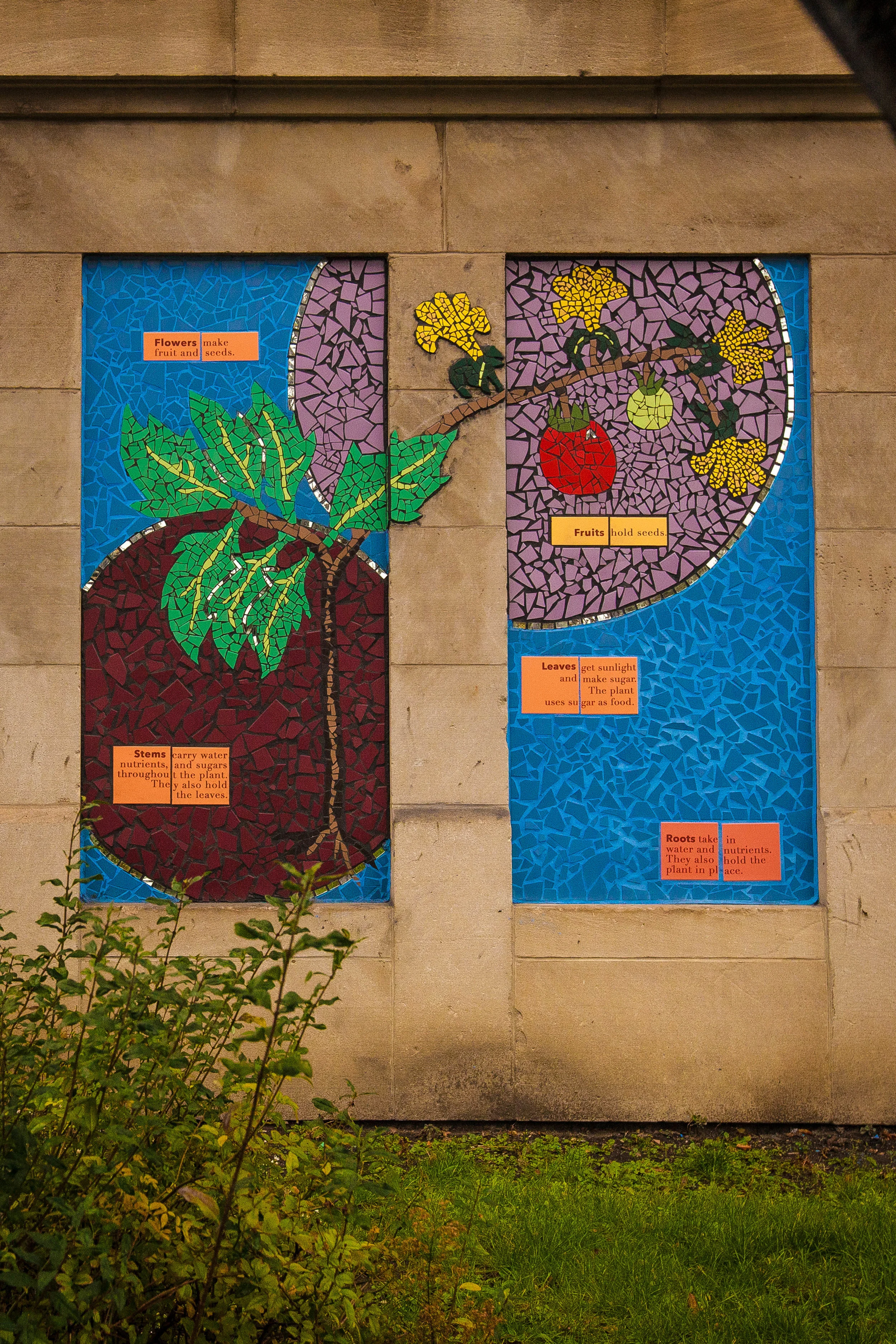 ANDRE PHOTOGRAPHIC_GREEN STAR MURALS-0056.jpg