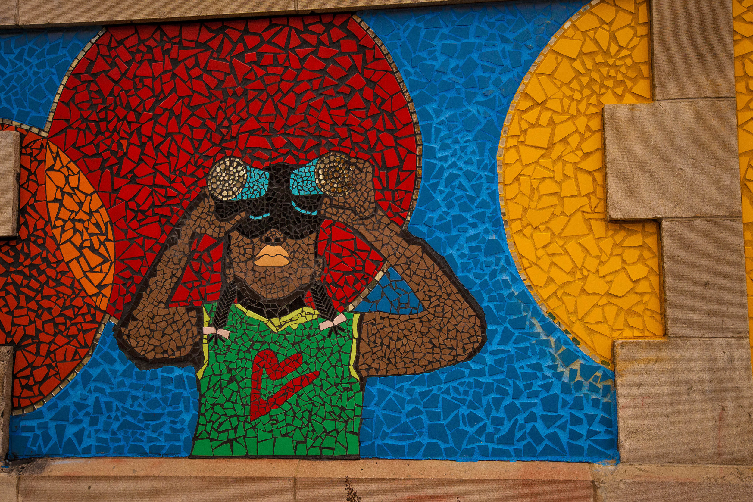 ANDRE PHOTOGRAPHIC_GREEN STAR MURALS-0046.jpg