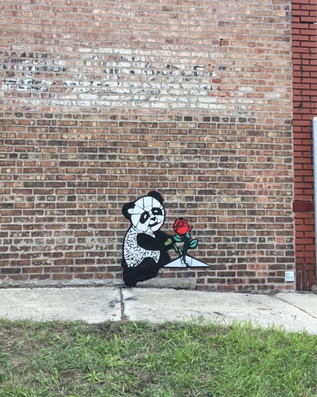 panda rose 2.jpg