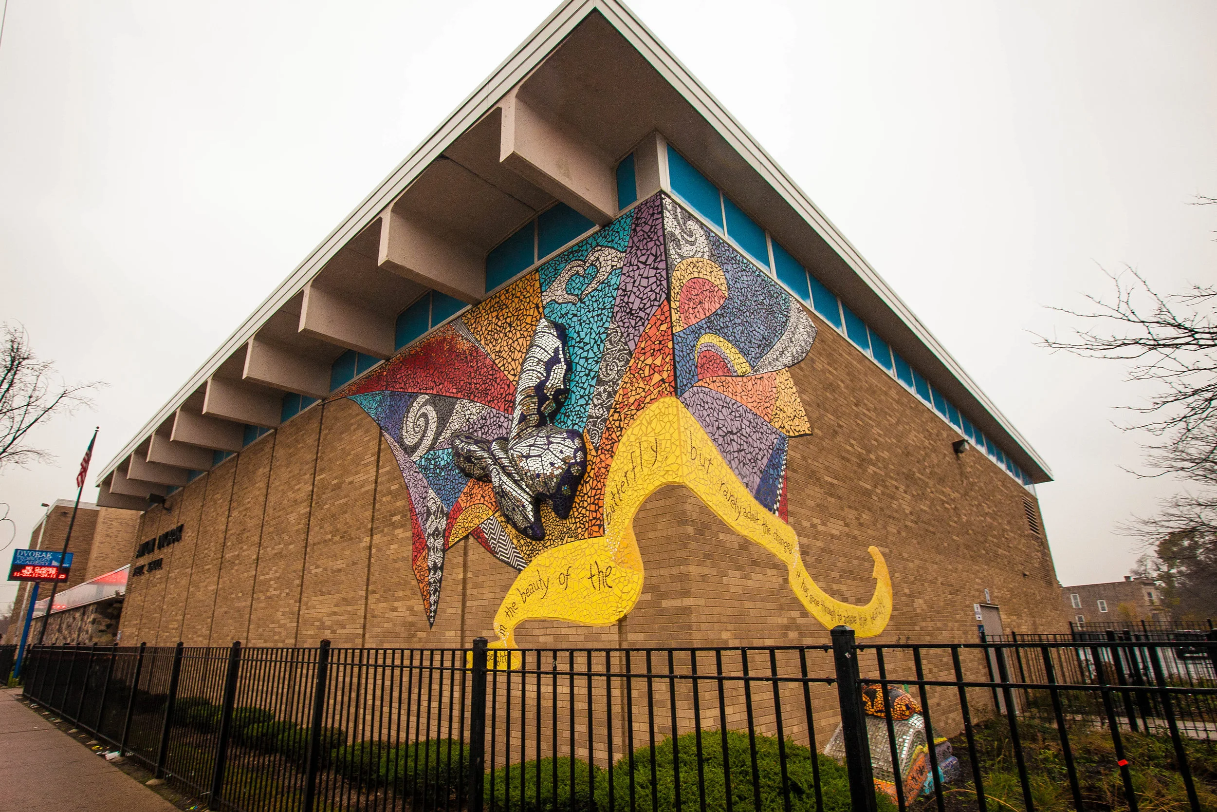 ANDRE PHOTOGRAPHIC_GREEN STAR MURALS-0037.jpg