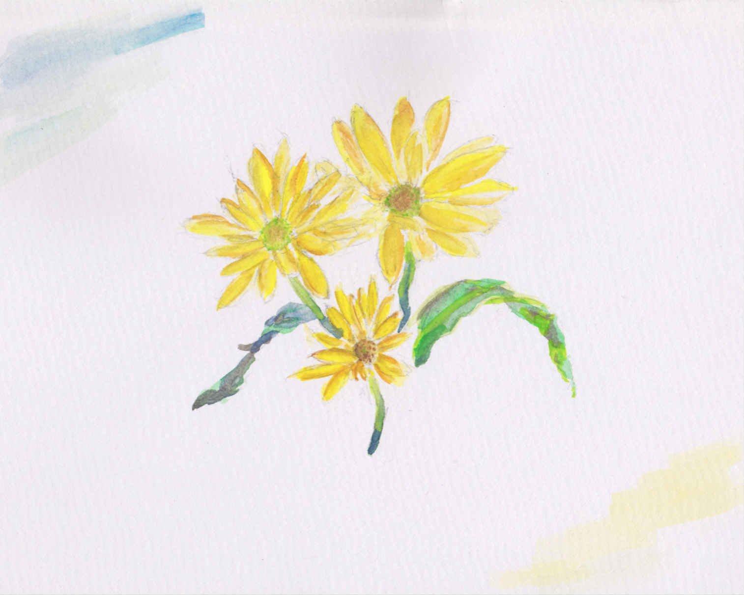 Screen Shot 2020-08-31 at 9.06.38 AM.png