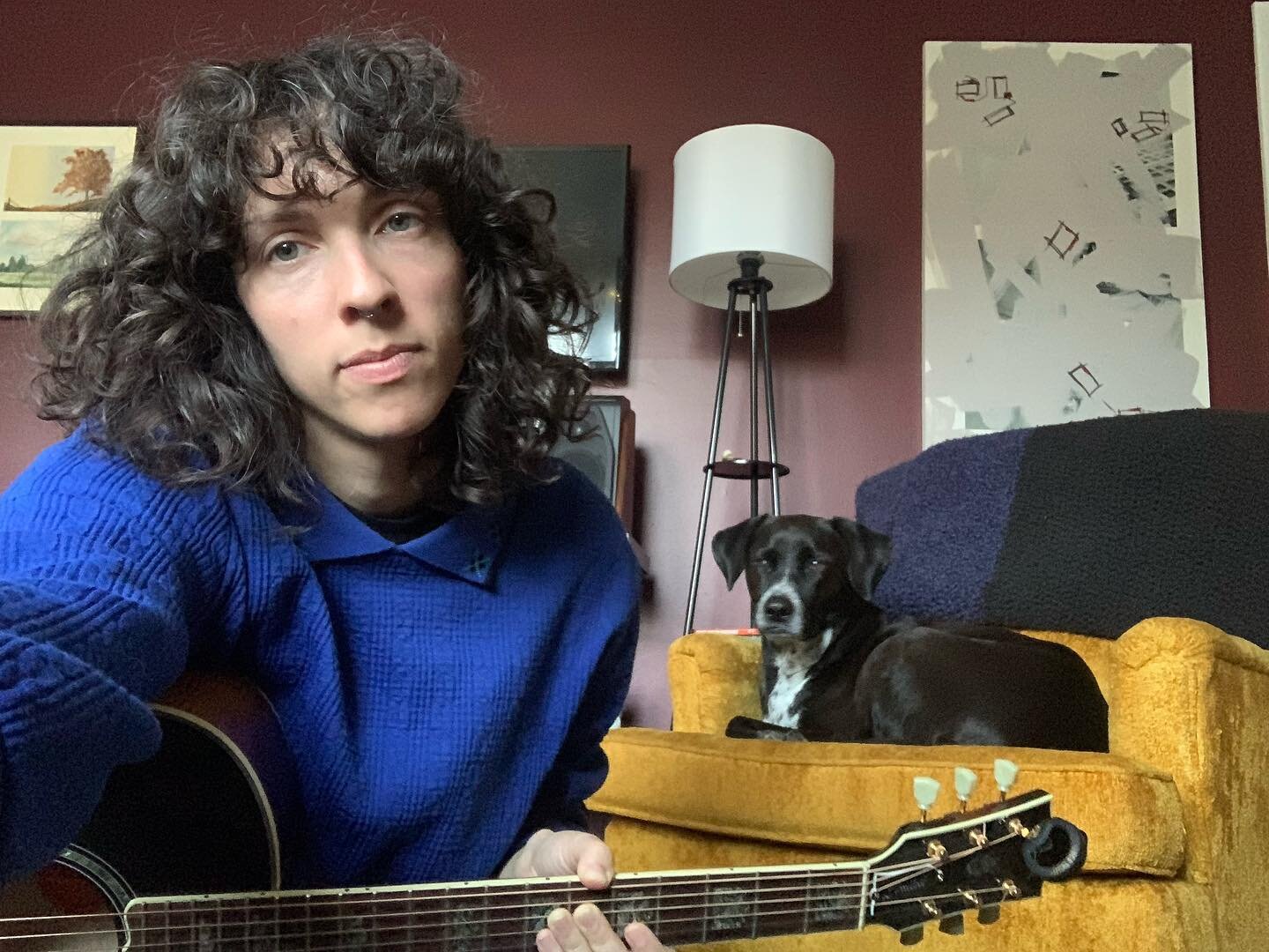 shared a new live video on my @patreon today AND we&rsquo;re playin a live show tonight at @theblueroomnashville opening for @jake.botts !! 8pm sharp 

link to join my patreon community for the full vid in my bio/stories - find out if i put dis pup t
