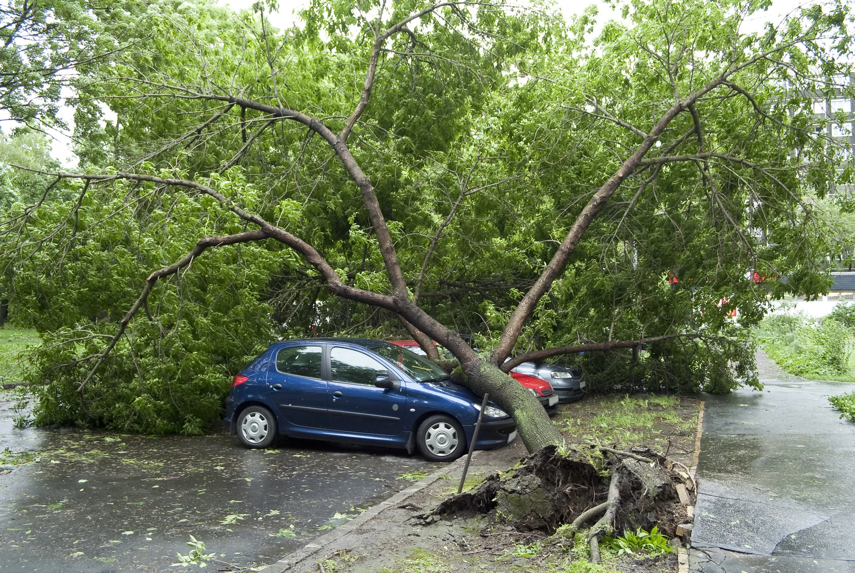 auto-insurance2.jpg