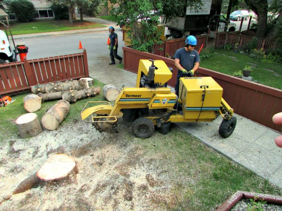 stumpremoval.png