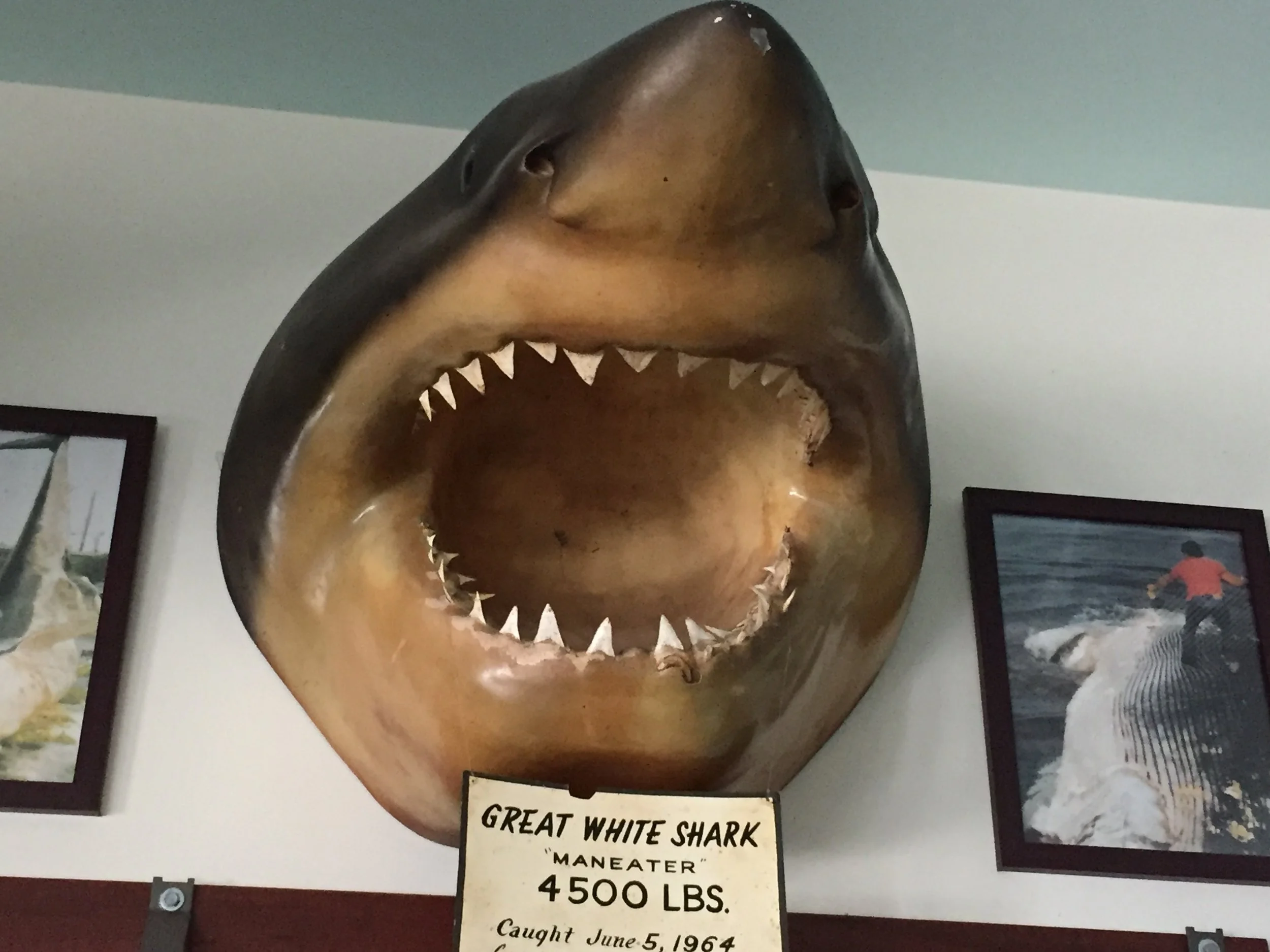 How Does a Child Learn to Brush Teeth for 2 Minutes? 