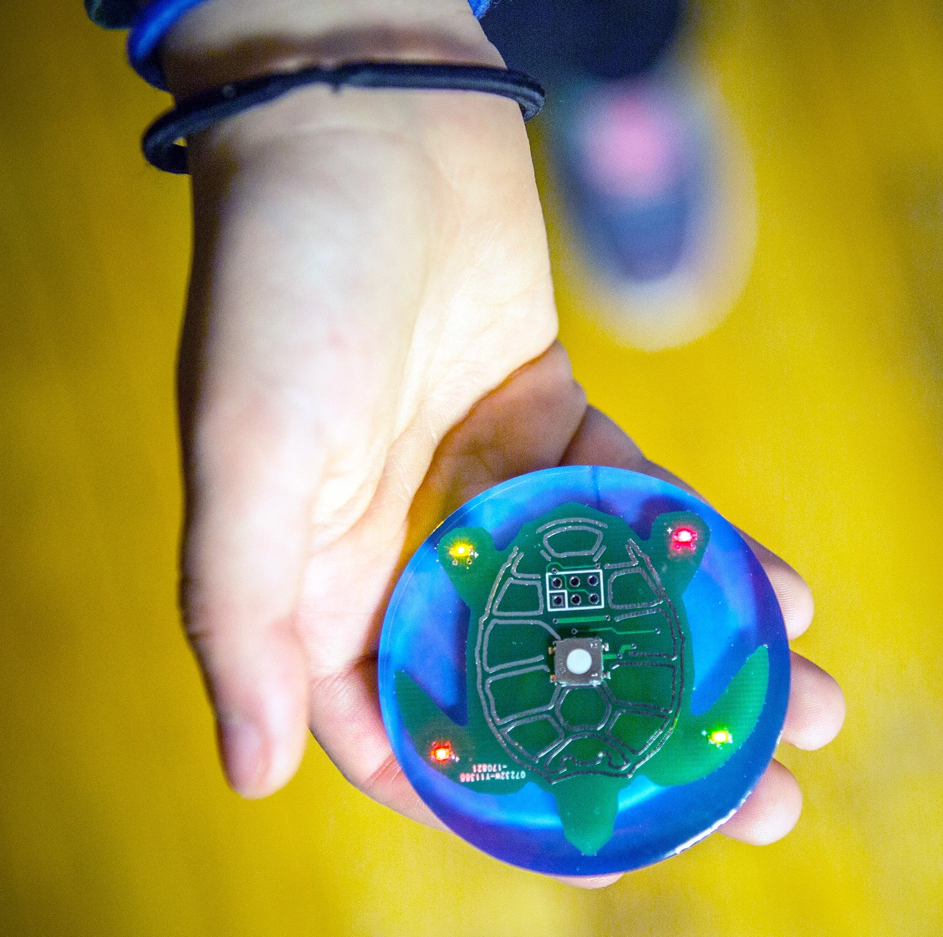 What Do You Want in your Two Minute Turtle Timer™? 