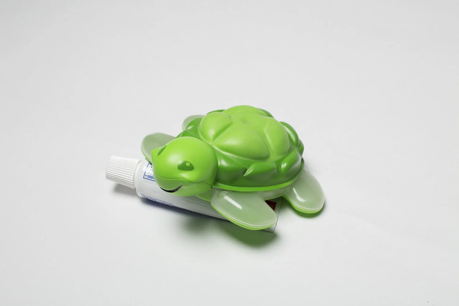 Fun 2 minute turtle for brushing teeth