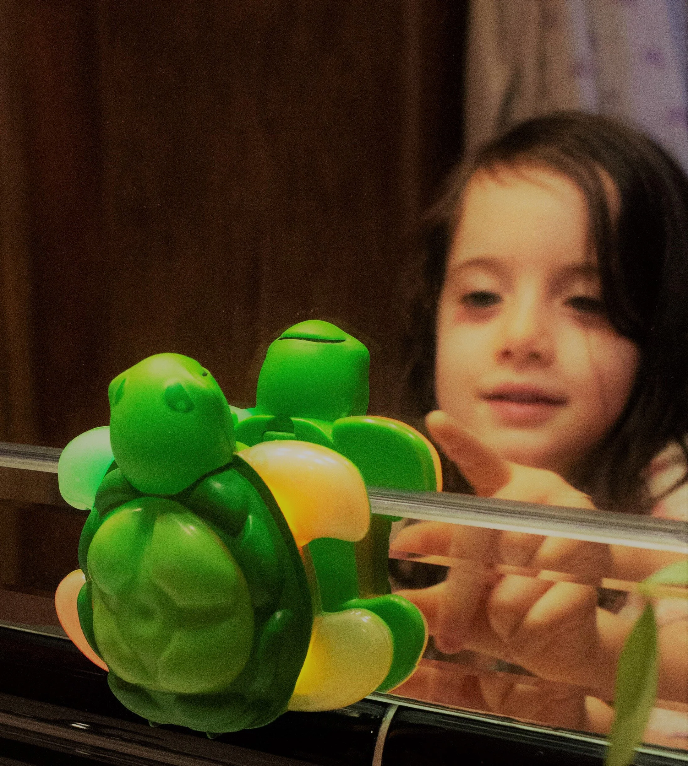 Kids toothbrush timer, 2 minute turtle timer