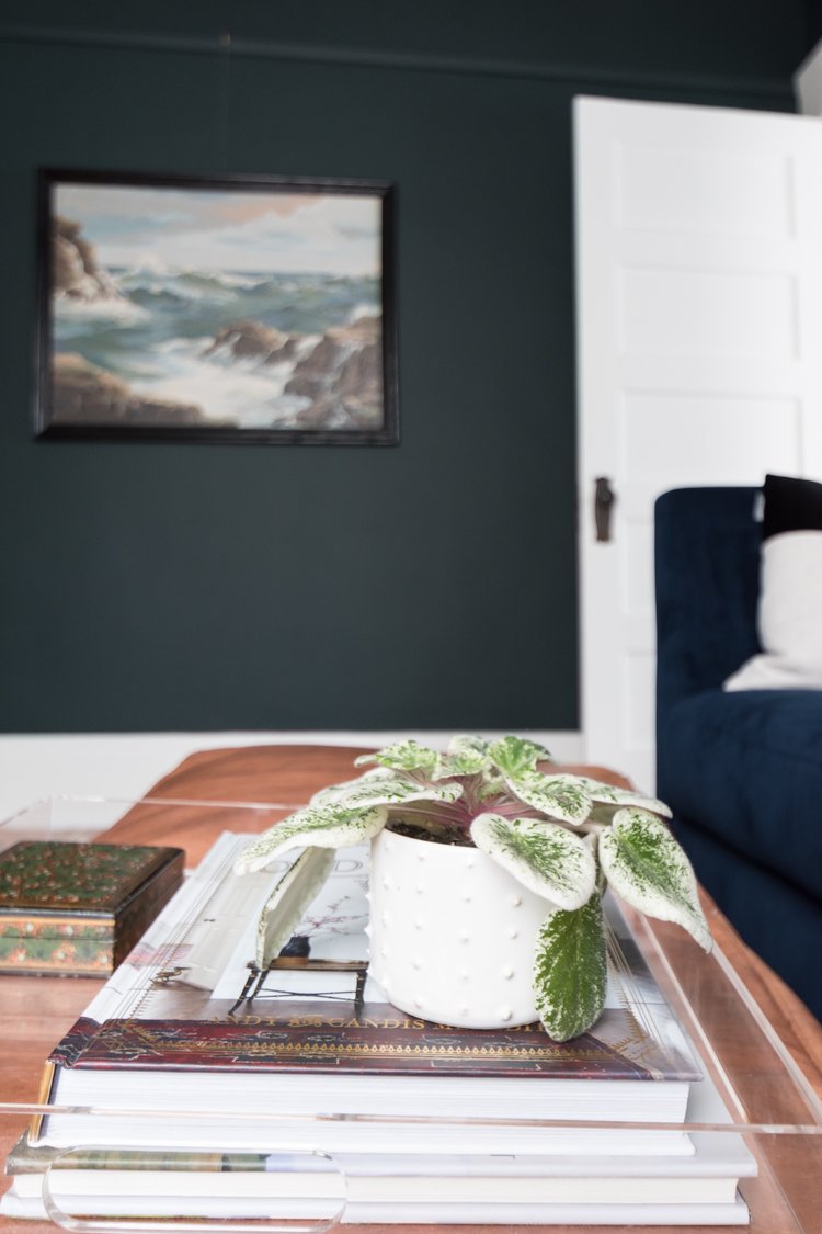 One Room Challenge Week 6 - The Moody Room Reveal! — The Gold Hive