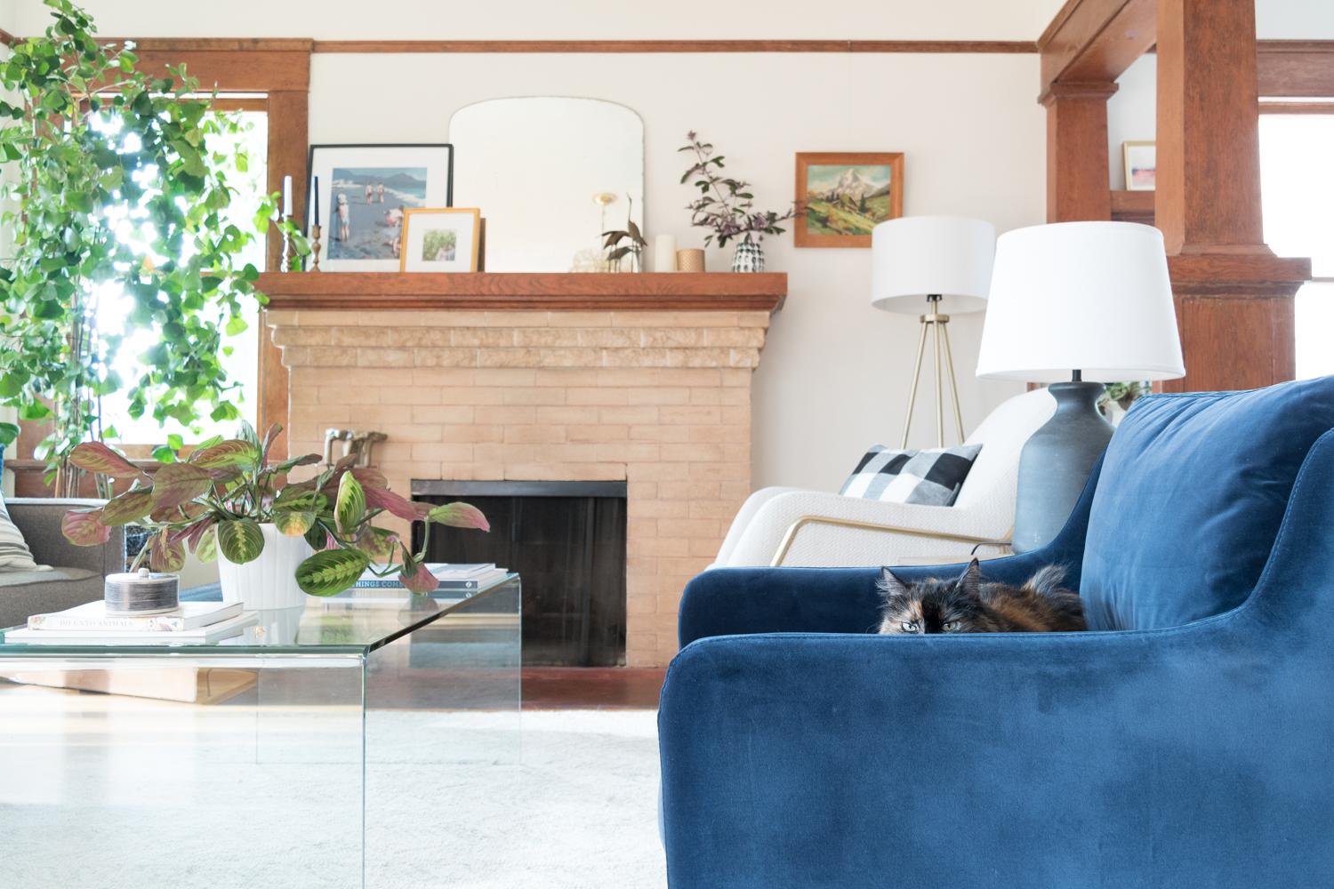Blue Velvet Living Room Chairs Ebay