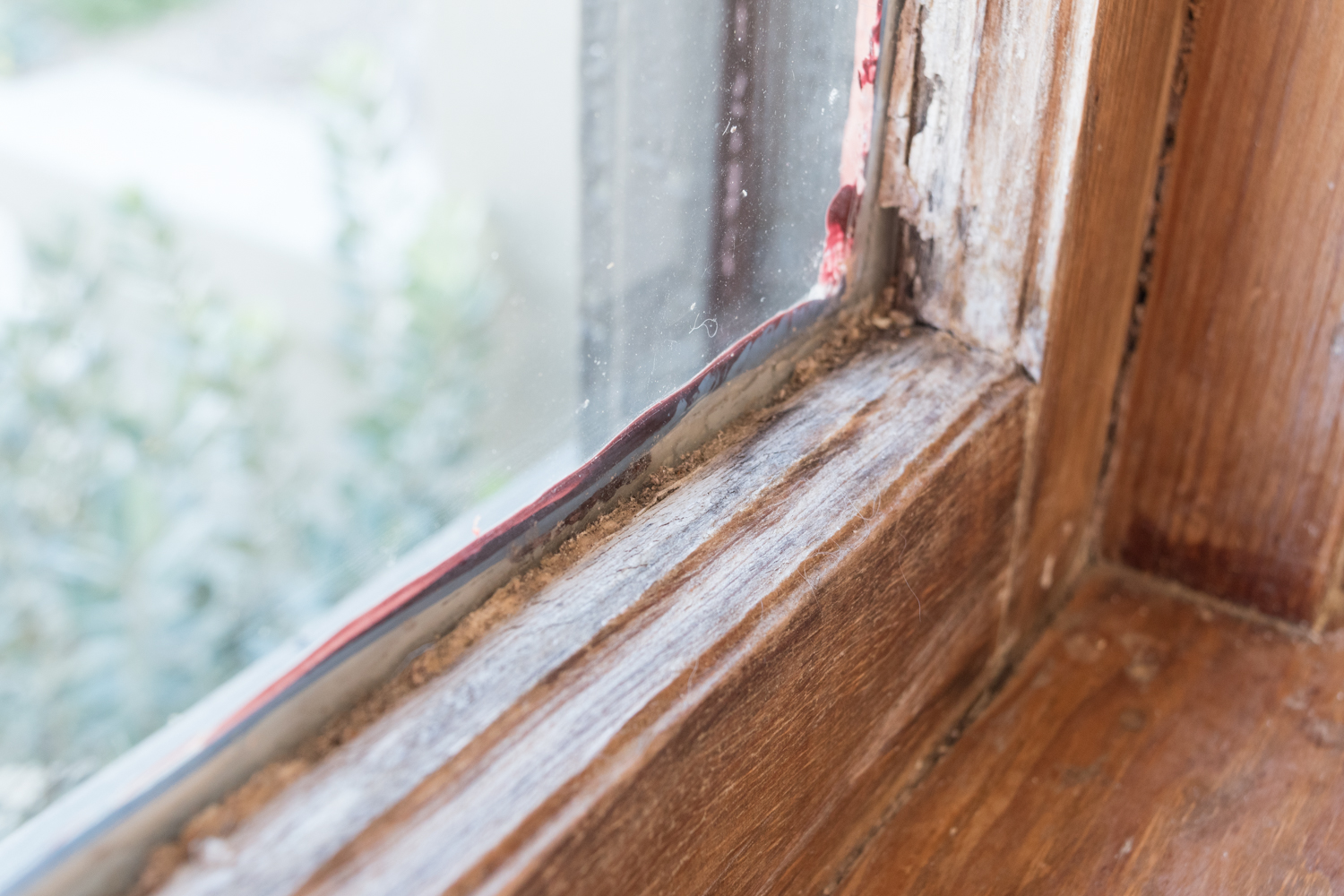 woodwork damage-0226.jpg