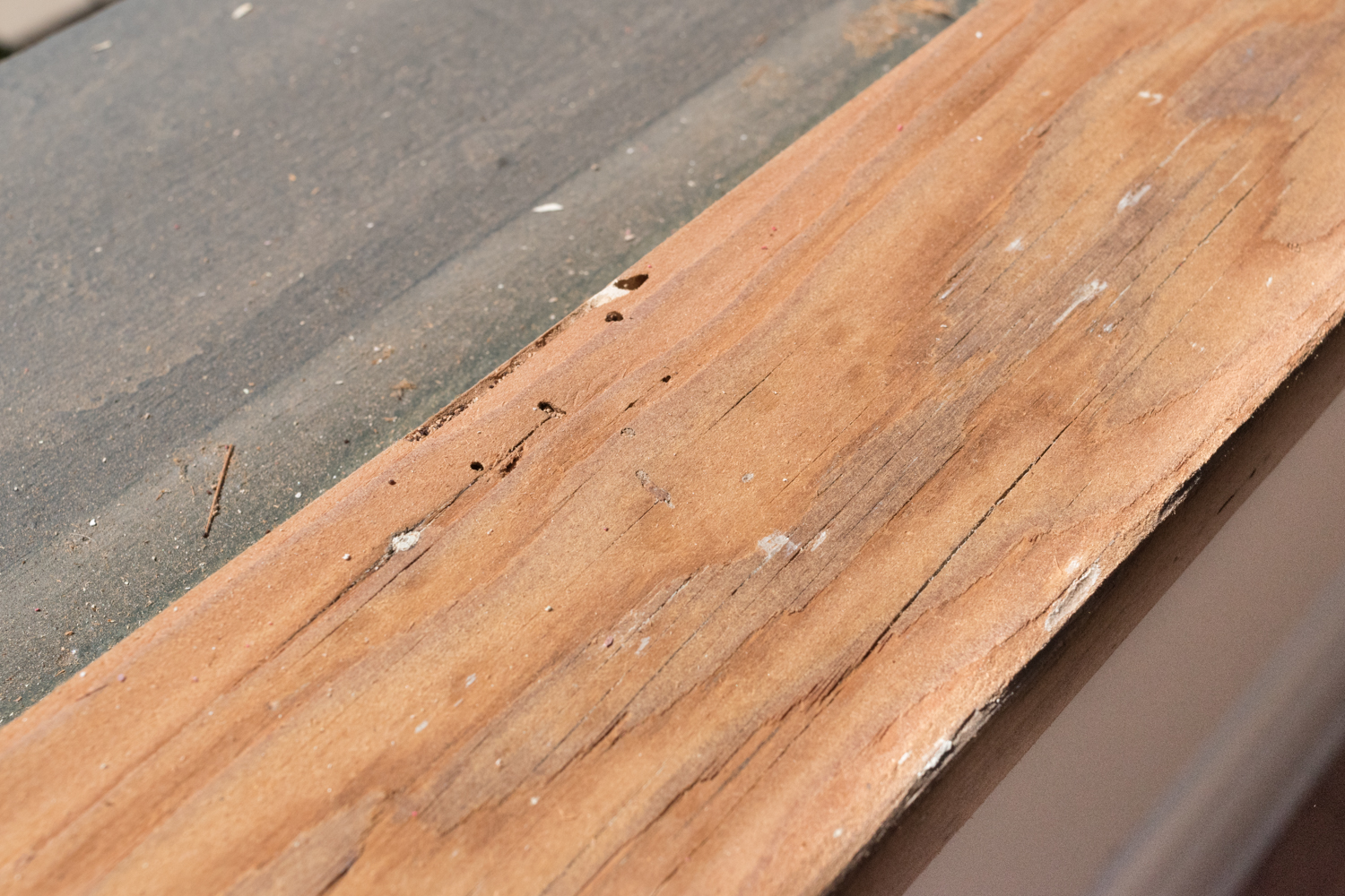 woodwork damage-0242.jpg