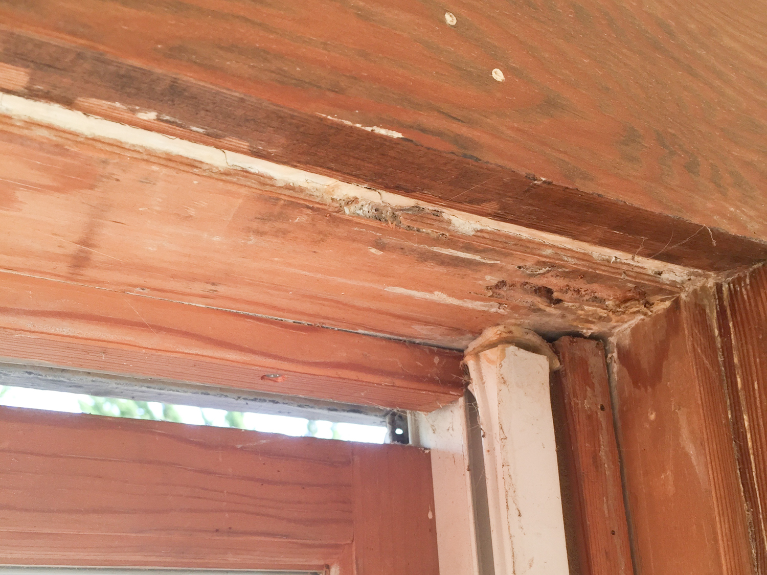 woodwork damage-1056.jpg