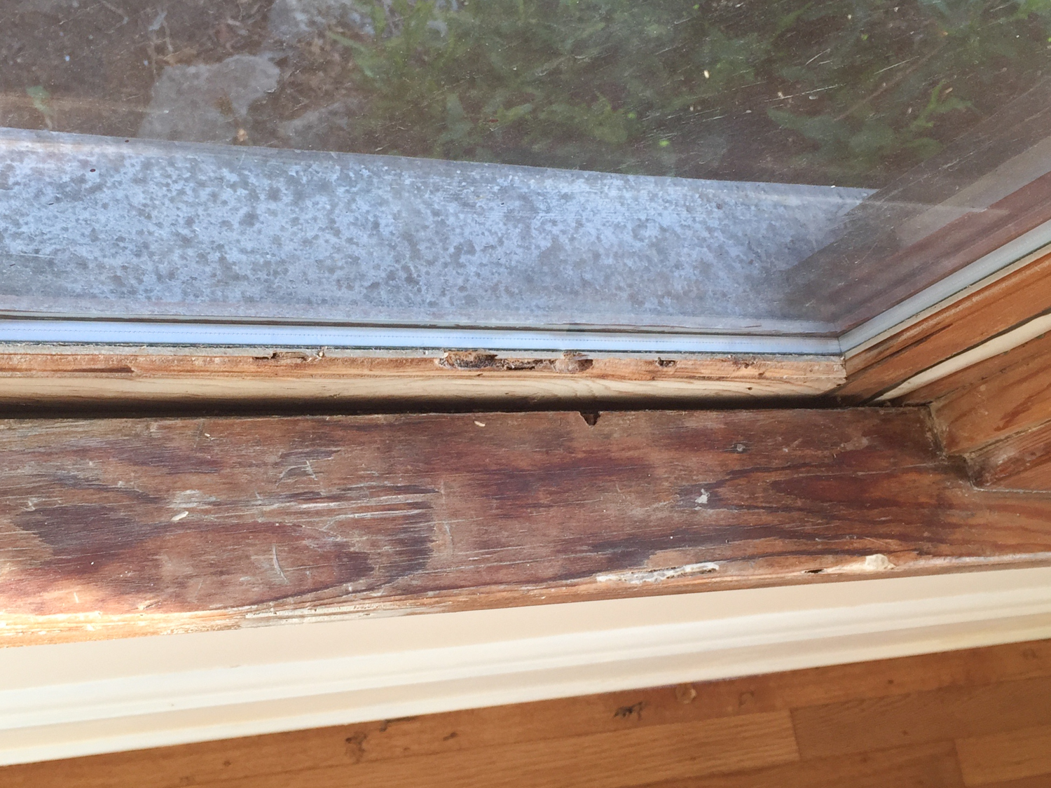 woodwork damage-1064.jpg