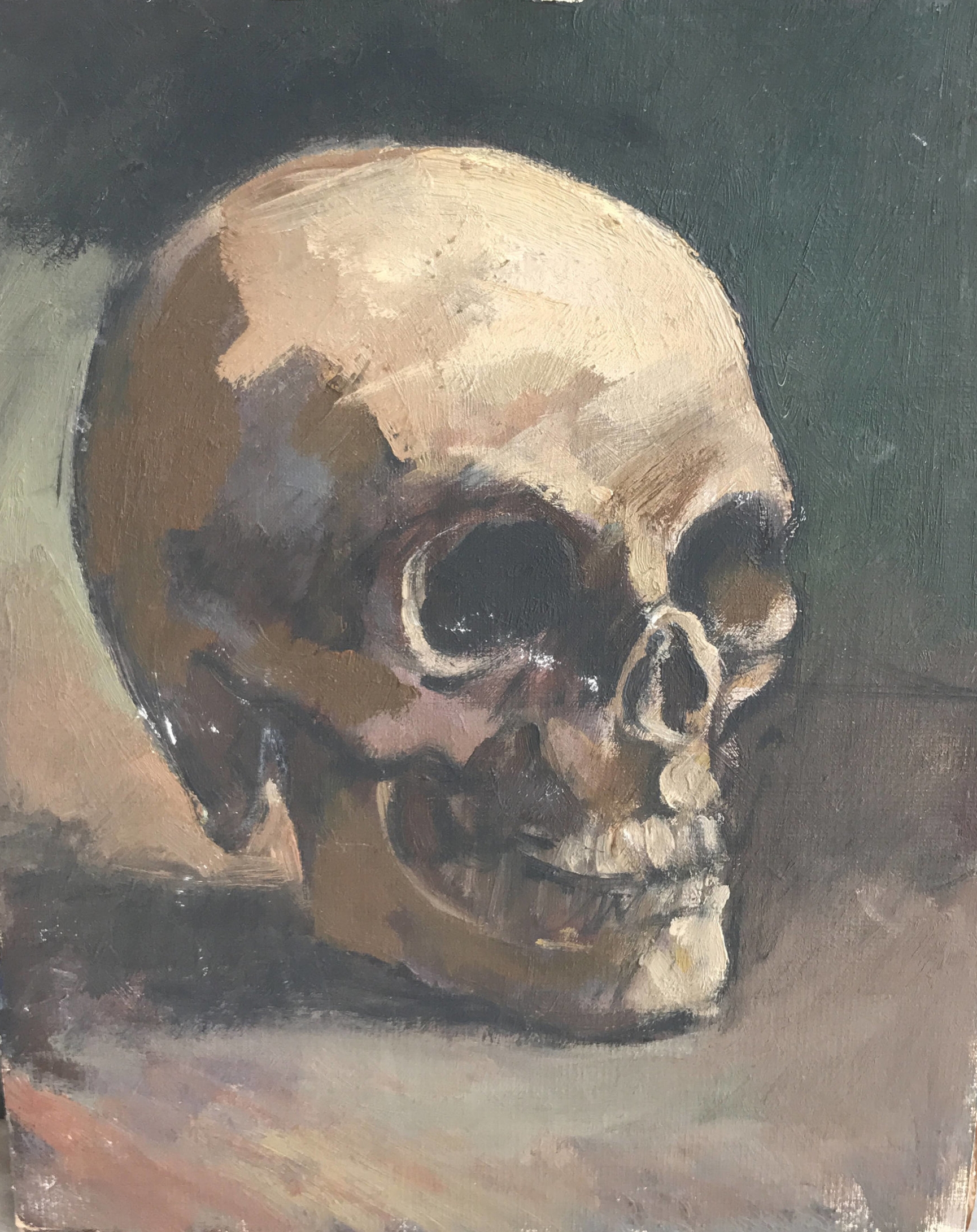 Vintage still life oil painting on board of a skull