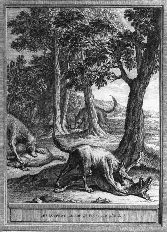 Original Antique Engraving - Wolves And The Sheep