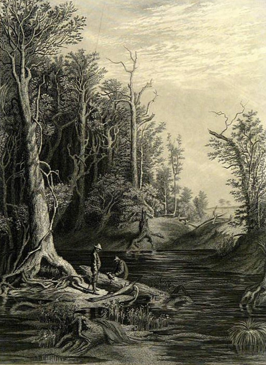1873 The Chickahominhy by W.L. Sheppard Vintage Steel Engraved Print Picturesque America Original Landscape Illustration