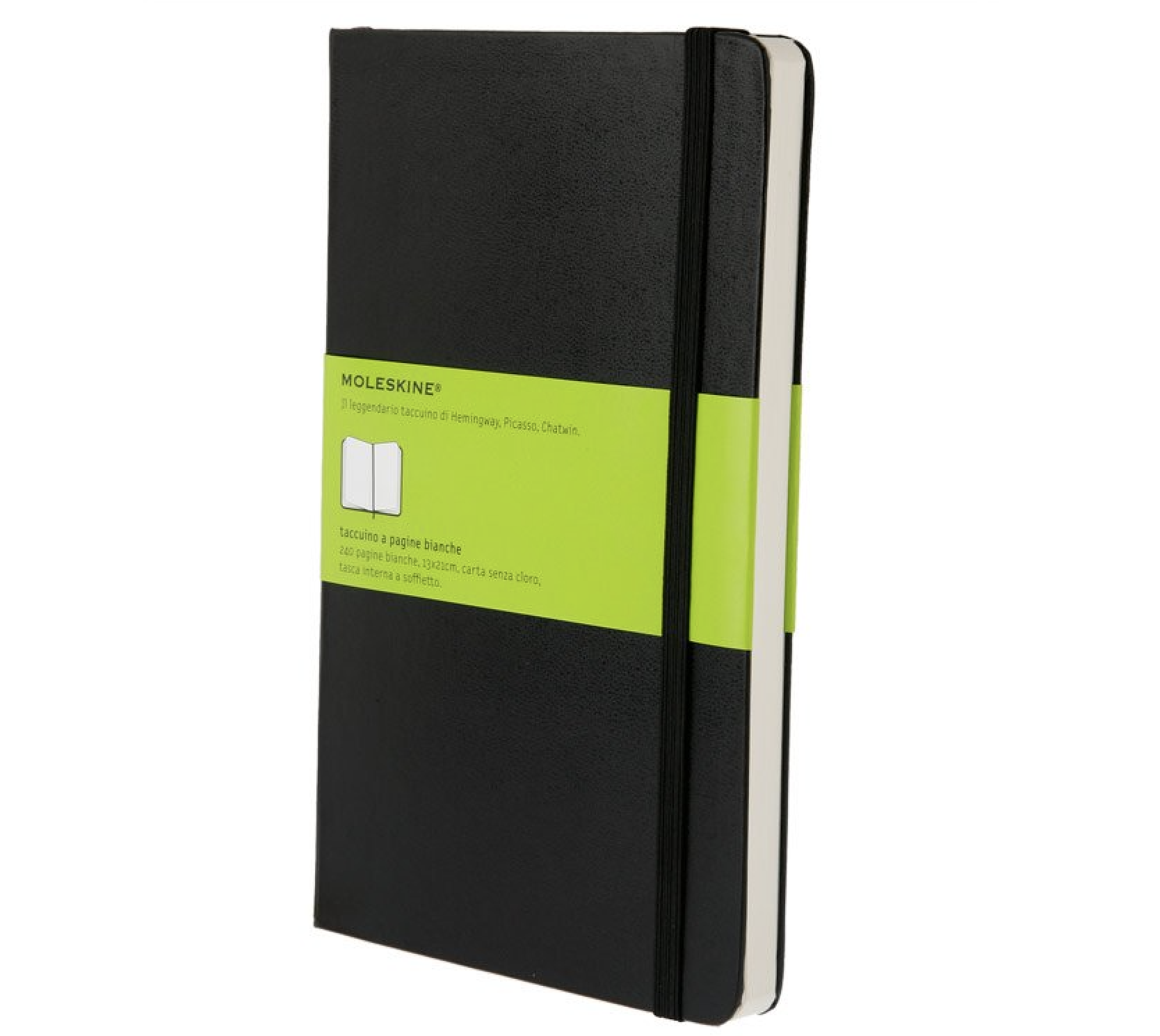 Copy of Moleskin